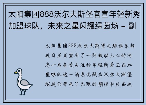 太阳集团888沃尔夫斯堡官宣年轻新秀加盟球队，未来之星闪耀绿茵场 - 副本